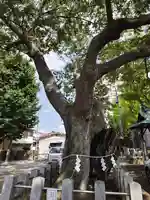 阿邪訶根神社(福島県)