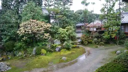 金臺寺（金台寺）の庭園