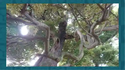 九重神社(埼玉県)