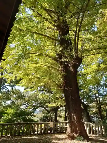 事任八幡宮の庭園