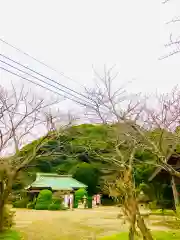 冨士浅間神社(茨城県)