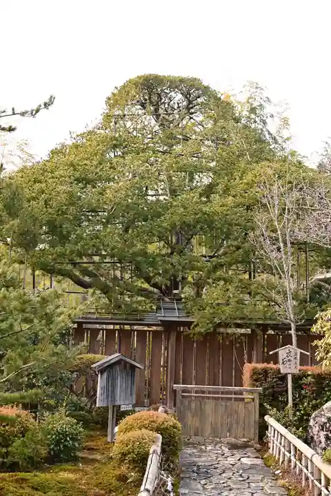 宝泉院(京都府)