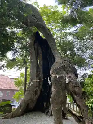 上野総社神社(群馬県)