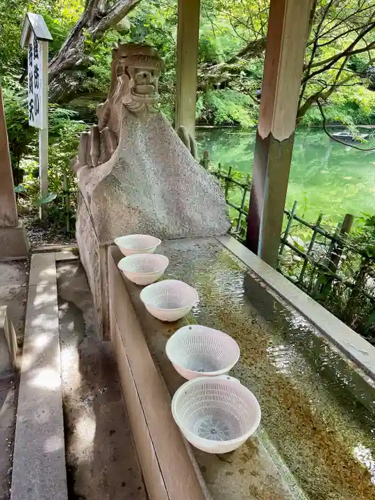 井の頭弁財天(大盛寺)(東京都)