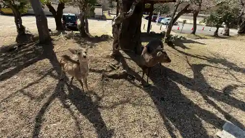 東大寺(奈良県)