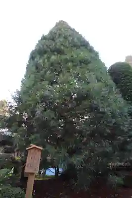 安楽寺(長野県)