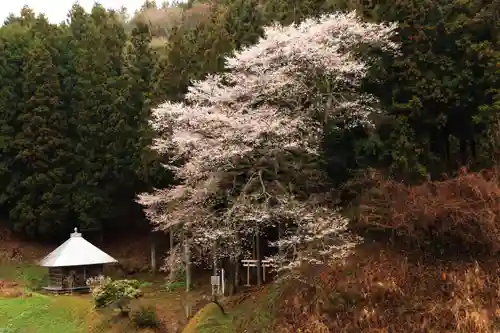 磯前神社の庭園