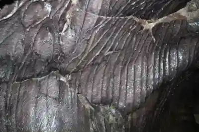 無戸室浅間神社(船津胎内神社)のその他建物