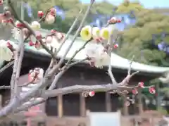 法華経寺の自然