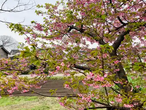 神明宮(新潟県)