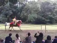 明治神宮のお祭り