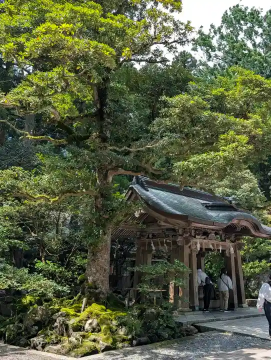 彌彦神社の{uncategorized: "未分類", other: "その他", undefined: "問題あり", building: "その他建物", grave: "お墓", sacred_gate: "鳥居", guardian: "狛犬", statue: "像", buddha: "仏像", history: "歴史", nature: "自然", garden: "庭園", animal: "動物", pagoda: "塔", temizu: "手水舎", mountain_gate: "山門・神門", sanctuary: "本殿・本堂", subordinate: "末社・摂社", art: "芸術", scenery: "景色", jizo: "地蔵", ema: "絵馬", goshuin: "御朱印", omikuji: "おみくじ", items: "授与品その他", amulet: "お守り", goshuincho: "御朱印帳", eats: "食事", festival: "お祭り", votive_dance: "神楽", shichigosan: "七五三参", wedding: "結婚式", experience: "体験その他", initially: "初詣", around: "周辺", anti_infection: "感染症対策"}