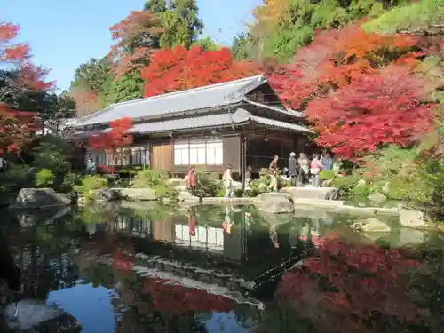 百済寺の庭園