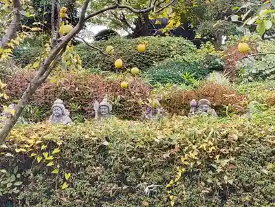 乗蓮寺(東京都)