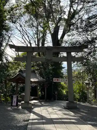 谷保天満宮の鳥居