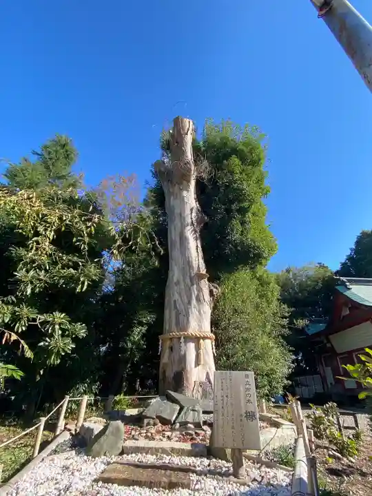 鹿嶋神社の自然