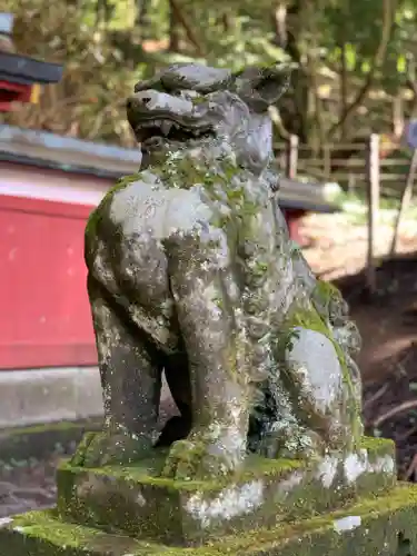 日光二荒山神社中宮祠の狛犬