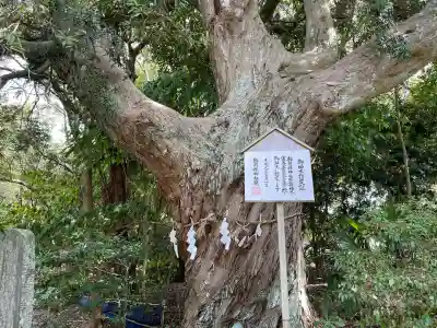 白羽神社(静岡県)