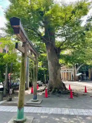 亀岡八幡宮（亀岡八幡神社）(神奈川県)