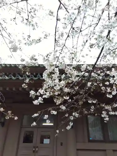 湯島聖堂(東京都)