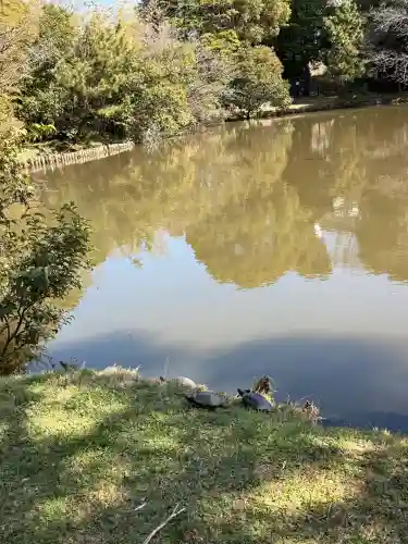 菊田神社の{uncategorized: "未分類", other: "その他", undefined: "問題あり", building: "その他建物", grave: "お墓", sacred_gate: "鳥居", guardian: "狛犬", statue: "像", buddha: "仏像", history: "歴史", nature: "自然", garden: "庭園", animal: "動物", pagoda: "塔", temizu: "手水舎", mountain_gate: "山門・神門", sanctuary: "本殿・本堂", subordinate: "末社・摂社", art: "芸術", scenery: "景色", jizo: "地蔵", ema: "絵馬", goshuin: "御朱印", omikuji: "おみくじ", items: "授与品その他", amulet: "お守り", goshuincho: "御朱印帳", eats: "食事", festival: "お祭り", votive_dance: "神楽", shichigosan: "七五三参", wedding: "結婚式", experience: "体験その他", initially: "初詣", around: "周辺", anti_infection: "感染症対策"}