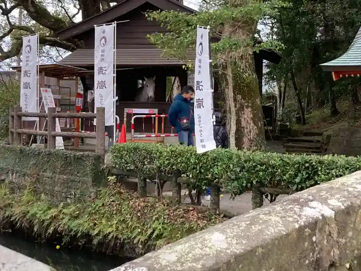 鹿児島神宮(鹿児島県)