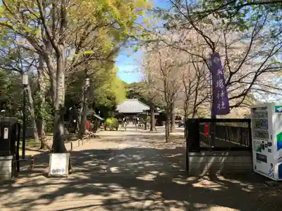 平塚神社のその他建物