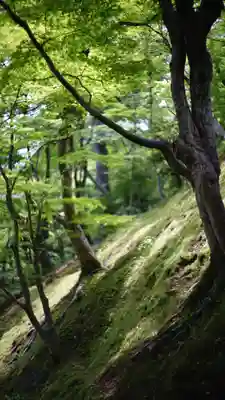 常寂光寺(京都府)
