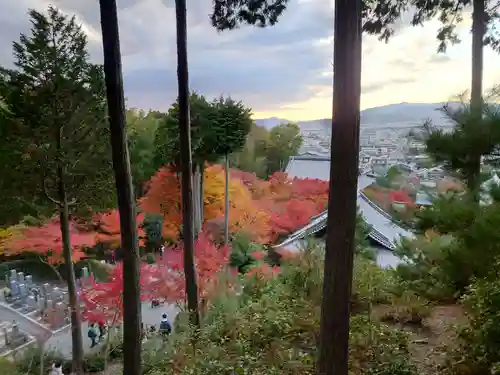 圓光寺(京都府)