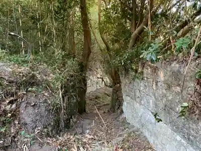 諏訪神社の自然