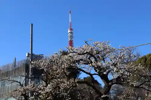 増上寺塔頭 三縁山 宝珠院(東京都)