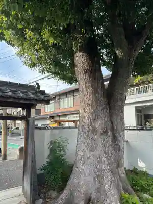 明星大神宮(大阪府)