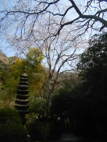 安國論寺（安国論寺）の景色