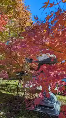 勝林寺(京都府)