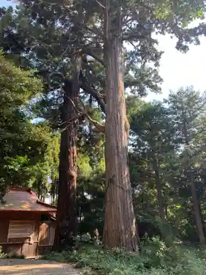 稲葉山神社(千葉県)
