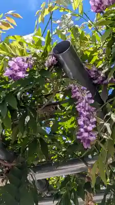 大松禅寺(京都府)