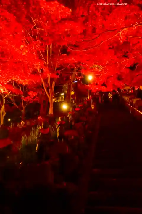 大山寺(神奈川県)