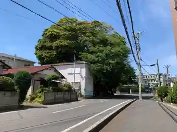 道祖神社(千葉県)