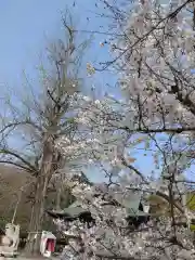 賀羅加波神社の自然