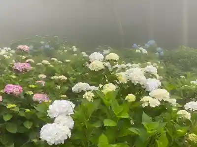 雲辺寺(徳島県)