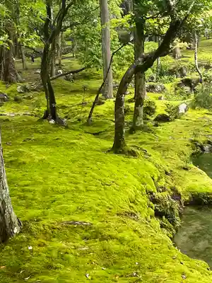 西芳寺(京都府)