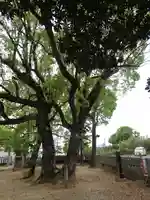 鹿島神社(熊本県)