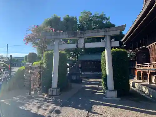 赤羽八幡神社の鳥居