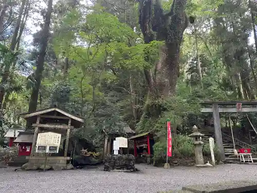 東霧島神社(宮崎県)