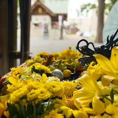 札幌諏訪神社の手水