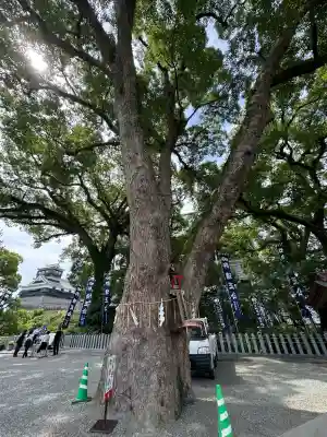 加藤神社(熊本県)