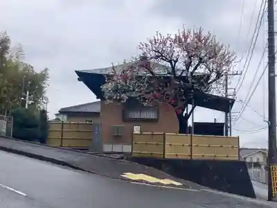 土橋観音堂(神奈川県)
