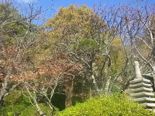 浄光明寺の自然