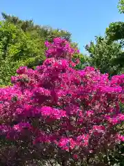 日之神社森(神奈川県)