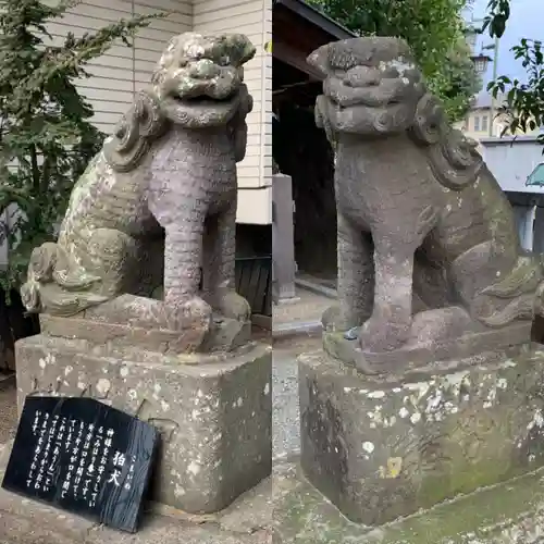 伊勢原大神宮の狛犬